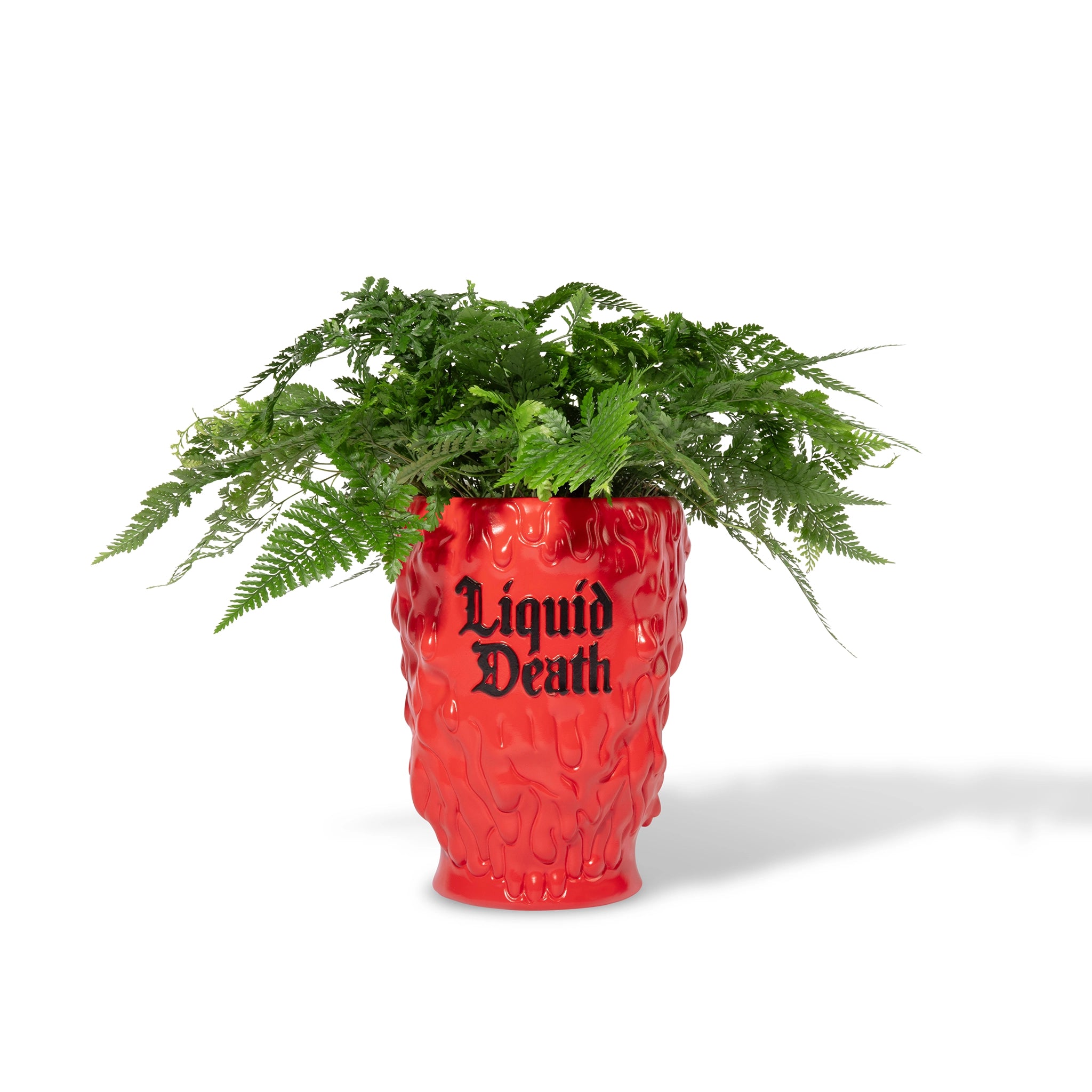 Pot Head Planter — back