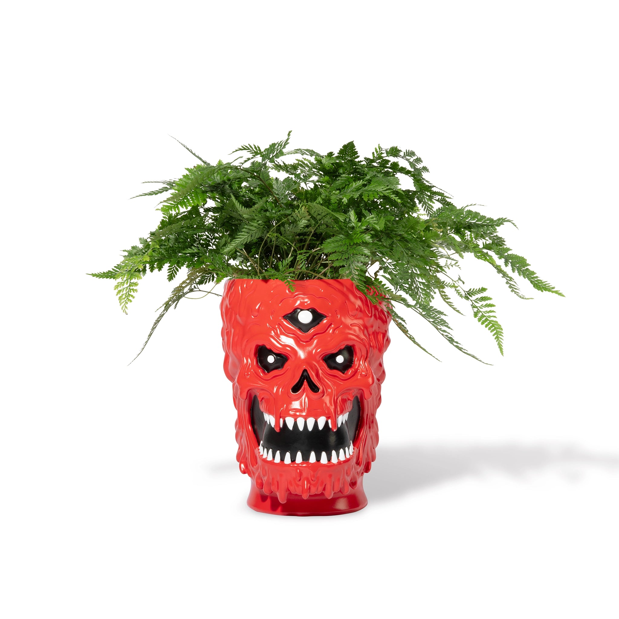 Pot Head Planter — front straight on